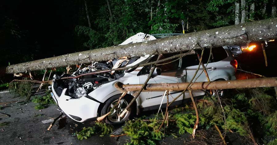 Unwetter Baum St Rzte In Der Hallegger Stra E Auf Fahrendes Auto